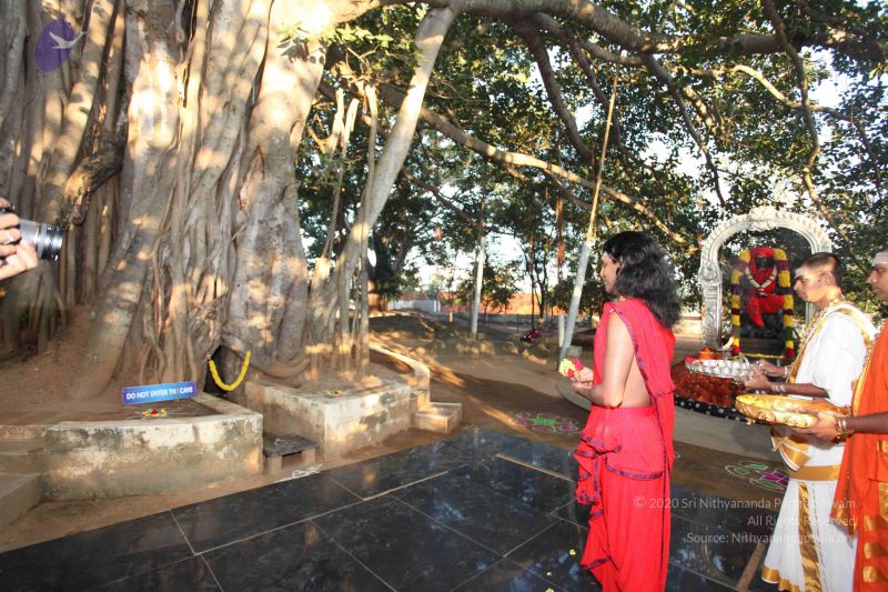 File:20101222 Photo 1124 1yGUXSLjiOFPn2hrF3SfvDvB3Tpt0KJBU.JPG