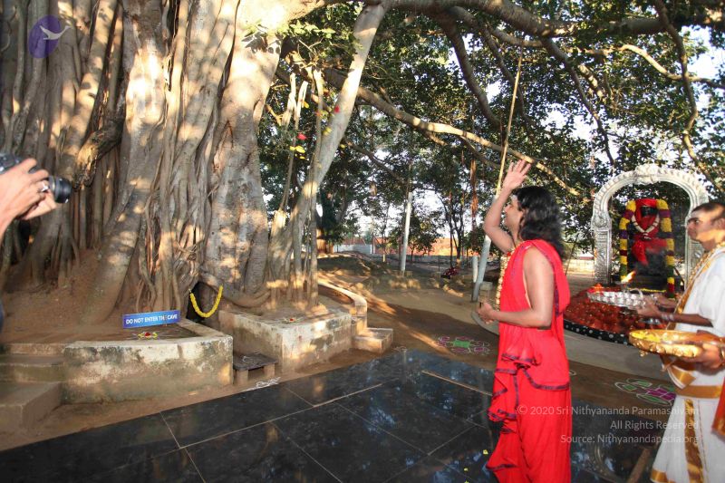 File:20101222 Photo 1125 1BWdEM4WWBrw3nmw8- 3Ty4sEuePM05s9.JPG