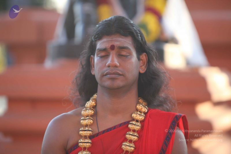 File:20101222 Photo 1182 1mbSPVZpE8jPjxCFuBtxpgMX84JVoTUiS.JPG