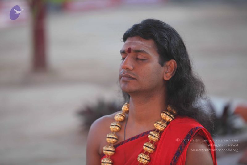 File:20101222 Photo 1190 1kVznG -UfAiOcTa9uDMK00dKn mwG7D4.JPG