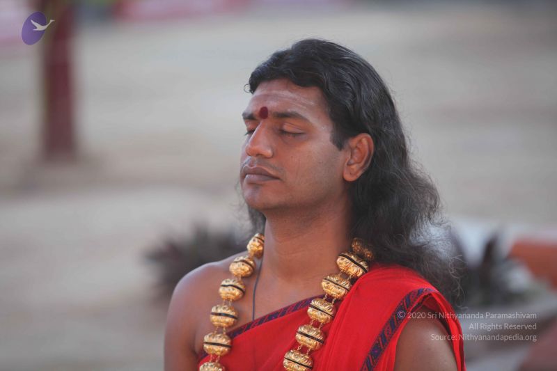 File:20101222 Photo 1191 157kvz4ywjai5VkH9bIrtpzct1GWs48AC.JPG