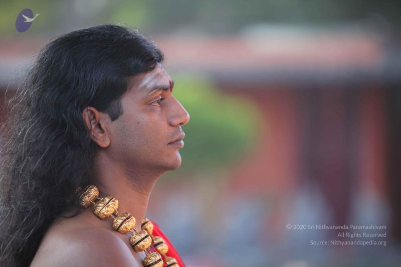 File:20101222 Photo 1201 13sz54jw9RDj4MslY1gfWCysS3c9PVmbM.JPG