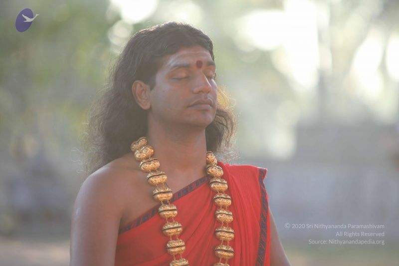 File:20101222 Photo 1211 1FjpGhRSMViU2wvMmgdeBP6C0FnlXZEOM.JPG