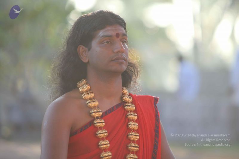 File:20101222 Photo 1212 16aU7LX~whGDl5TddEROLOaYZSUuoONa.JPG