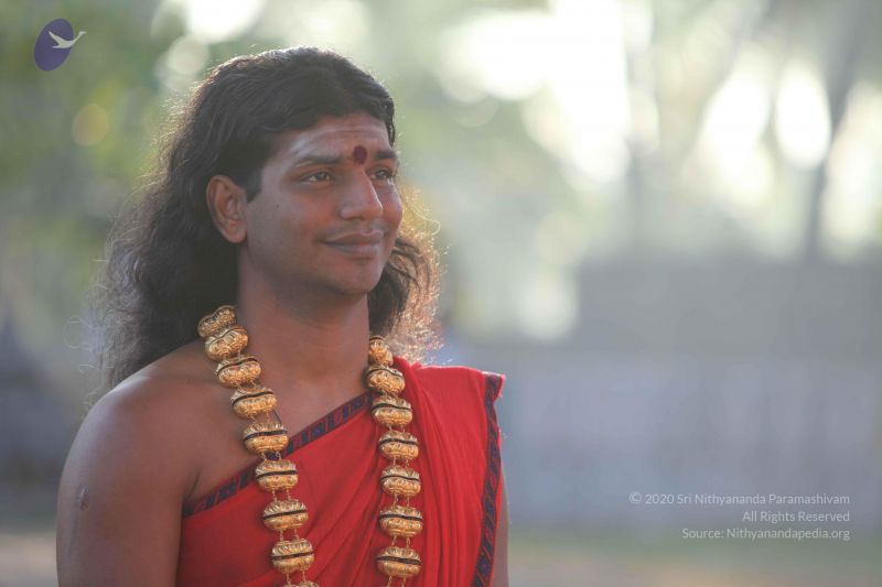 File:20101222 Photo 1226 1em6SK2BuTi-m1Y4VbwnblyznQ rU2lZs.JPG