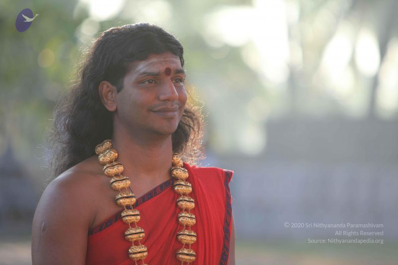 File:20101222 Photo 1229 1bscTKZ5JsLUd6YZ5binFHbwBVqgRstIa.JPG