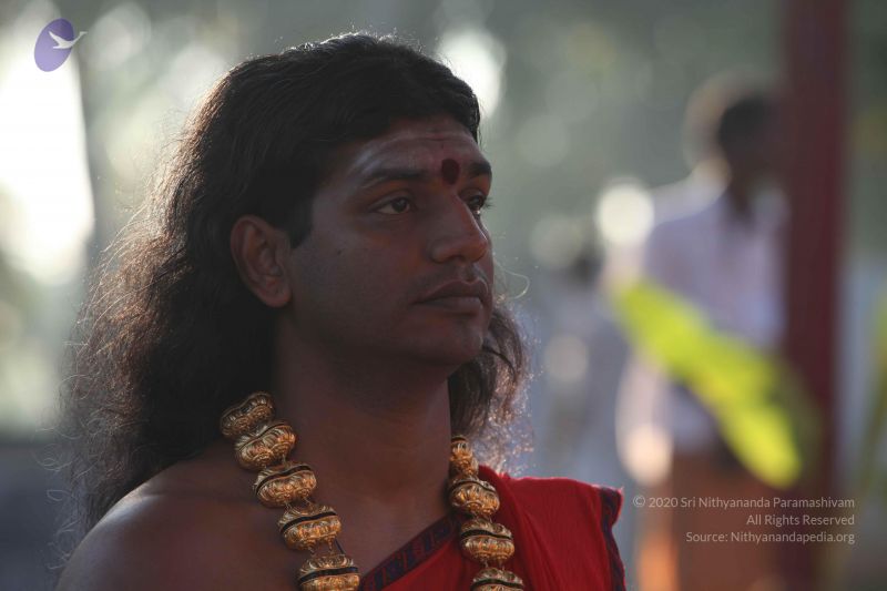 File:20101222 Photo 1236 1nf4ftmRq3yvWpGEweibTHApadGFbcQxM.JPG