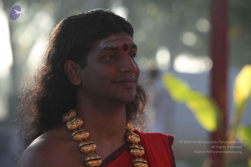 File:20101222 Photo 1239 1fIHlWWGe1CBGNbqlrLe8u3gHHg7bqqVB.JPG