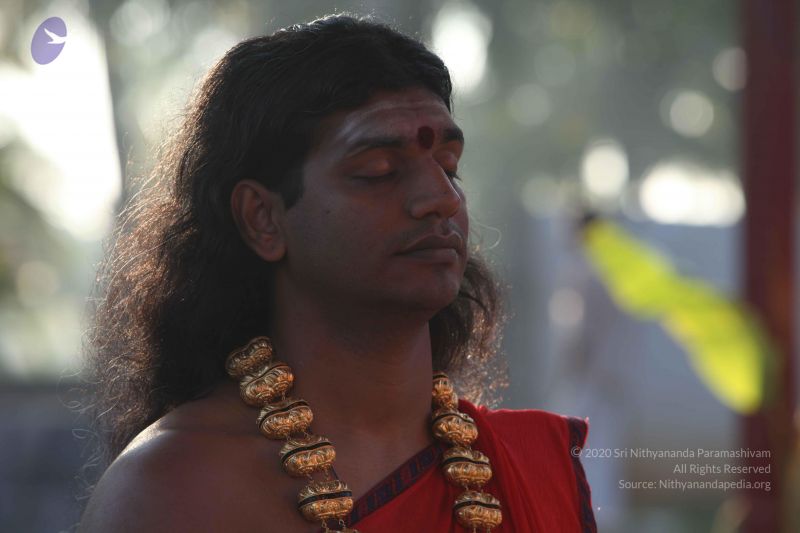 File:20101222 Photo 1241 1pLw62KEFpo29I7Nv6VYflialPrqBRGjL.JPG