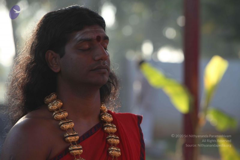 File:20101222 Photo 1242 1UWVcsfguPYrC85g1DbqHBsHkLpKQiunD.JPG