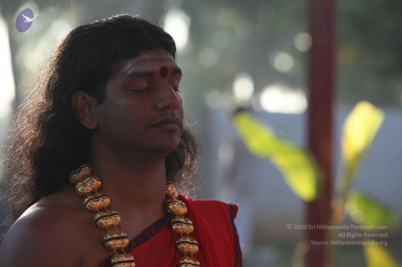 File:20101222 Photo 1243 1XMf95MJA-h3GZta5V 1Wu5c4-9BjU80Q.JPG