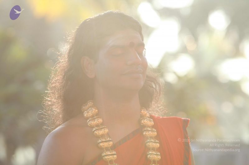 File:20101222 Photo 1244 1SpXo28NfhRERDbBvK hqMAS45avvHA6p.JPG