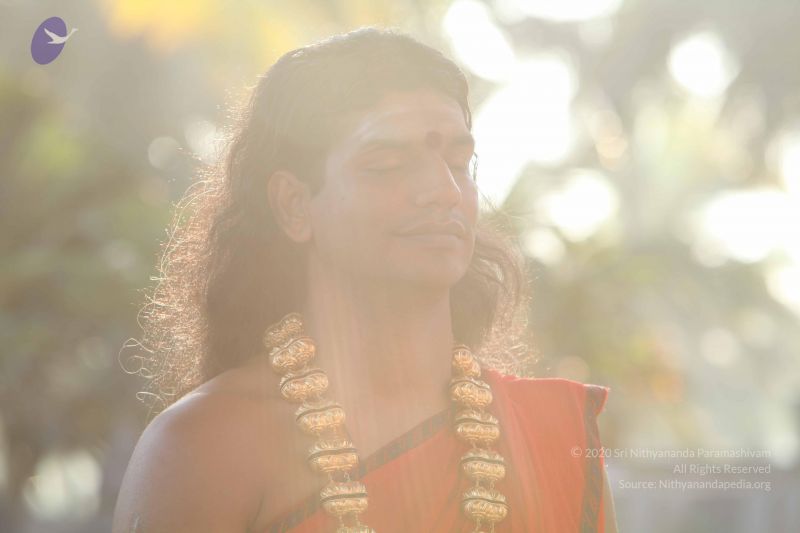 File:20101222 Photo 1245 1UgeG-nILXfpringFXV4TzcvX5fDofNrW.JPG