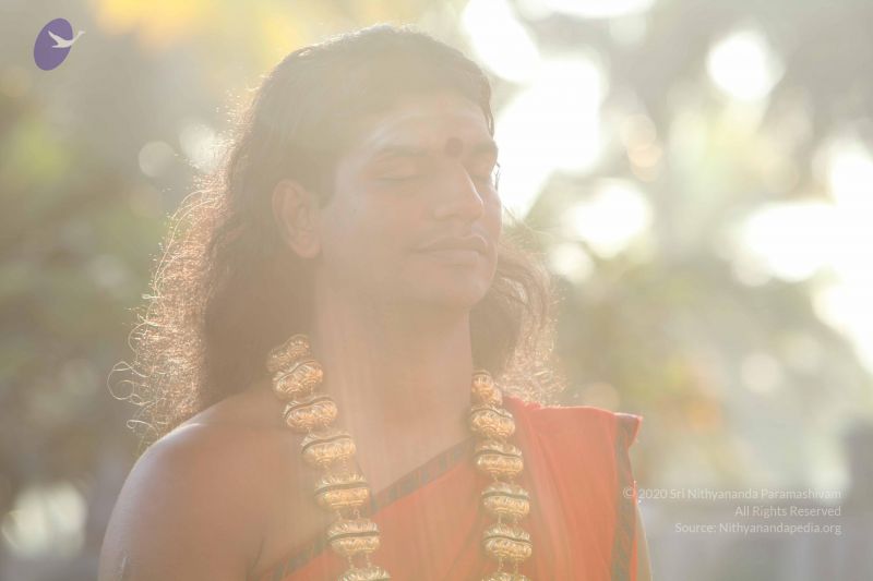 File:20101222 Photo 1246 1yKClNWqGr9IgjwtkX8BsgE-cBWrZlya0.JPG