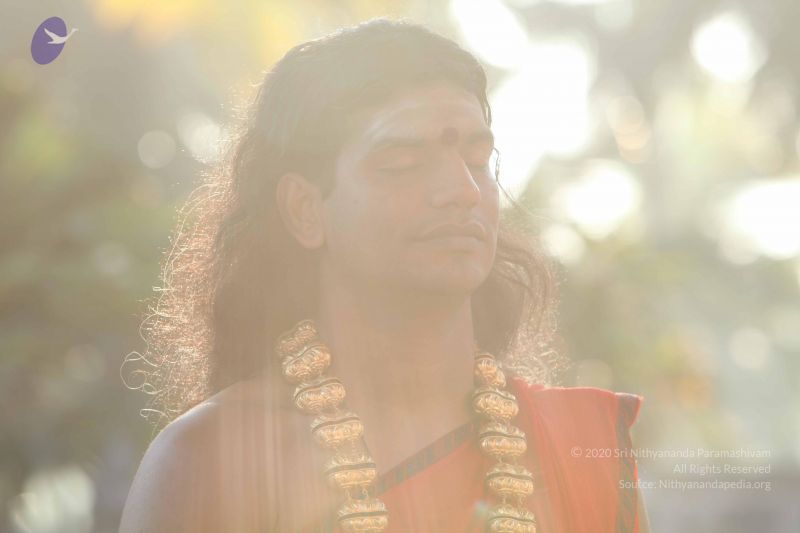 File:20101222 Photo 1248 1v-igdiOemmSGEENKcxB3fgedmG31Zt1k.JPG