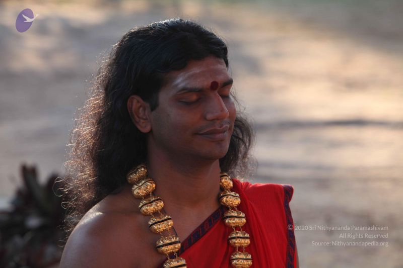 File:20101222 Photo 1249 1sd5ueJOR1KXq0sCFPiIa5iCXJsa7G-i7.JPG