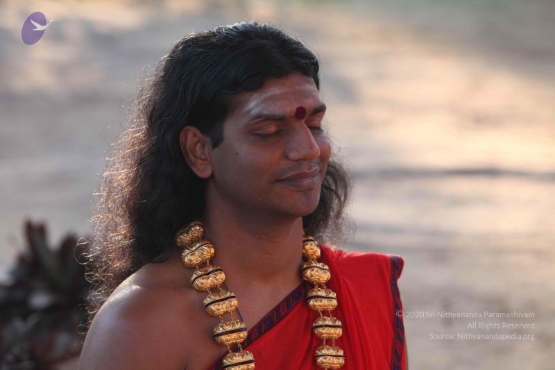 File:20101222 Photo 1250 19ApdAFWTlWYLvd8D8A0fT2q7adqXGOTj.JPG