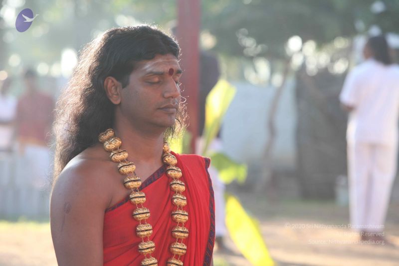 File:20101222 Photo 1325 1x5Udy0qIuh1ovAyqkt6wnDl-aKInFBmV.JPG