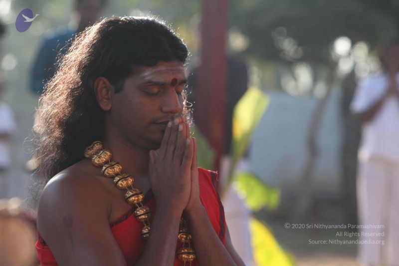 File:20101222 Photo 1329 175E1N 0eTxtDr93mCSDQAw-Sh2tfZRZT.JPG