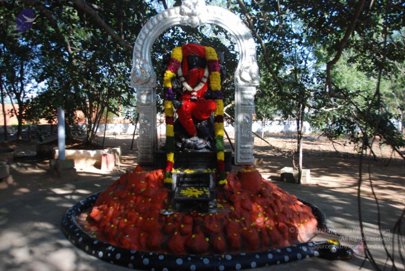 File:20101222 Photo 1357 1 qz8O9rD2dxvQr60VCp7wXtRa84Og TJ.JPG