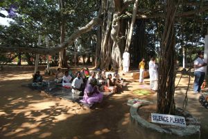 20101222 Photo 1654 1-ovwAEzBzR5wArOKUQ-qMVT0rOrb9A9r.JPG