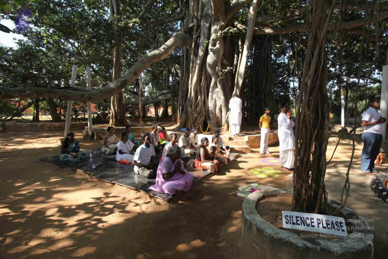 File:20101222 Photo 1654 1-ovwAEzBzR5wArOKUQ-qMVT0rOrb9A9r.JPG