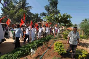 20101222 Photo 1860 1JL9kHhxIE~2I5m0sl1ZN-sFYjTSXOBG.JPG