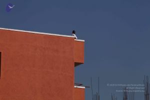 20101222 Photo 2032 12xYecnl07sCQuFffZFXqbFwFV6GNJ20o.JPG