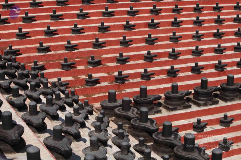 File:20101222 Photo 2046 1knAOrxu2iDdysXbhC-ggaH0RD9RXyJOt.JPG