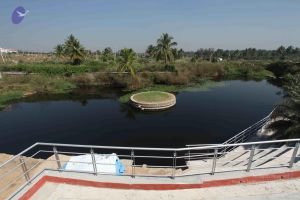 20101222 Photo 2145 1RnXNrdIfsl8uS3VWFOX2ymIEBAm5SGrB.JPG