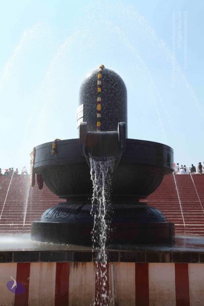 File:20101222 Photo 2160 1gyp5eo8gC4C7QoWSNENm7wymgal61TNF.JPG