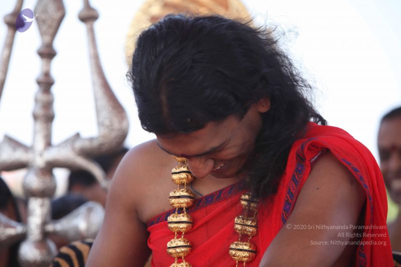 File:20101222 Photo 2738 1jrPHi1TGUXYHGPeTISqpFHSXlOxnyA o.JPG