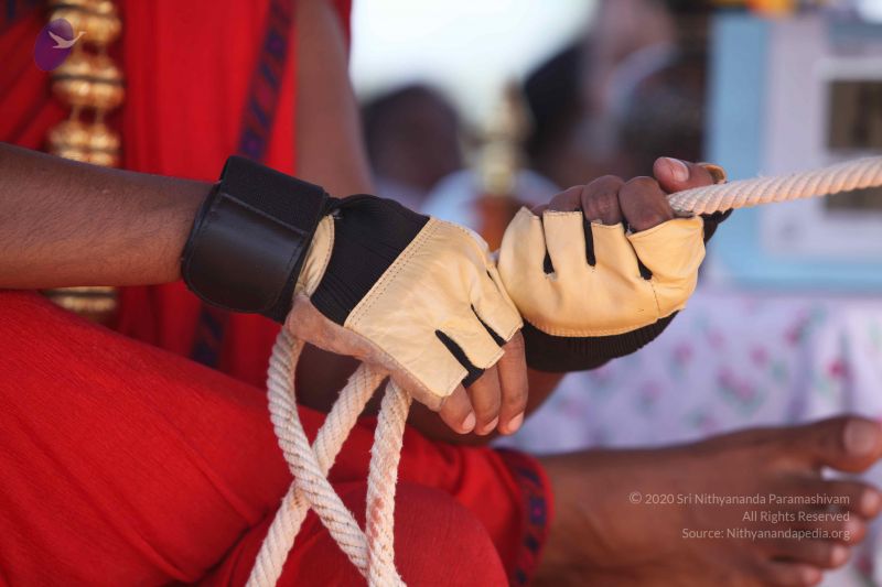 File:20101222 Photo 3340 1fZuau69QbnaUBdJa-xA8UkyOwwa9wNLY.JPG