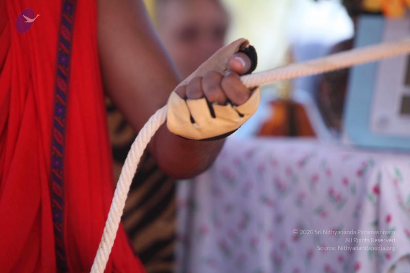 File:20101222 Photo 3409 1HUtN2wqnXSDzpt8O0N3qlflajkpcZg h.JPG