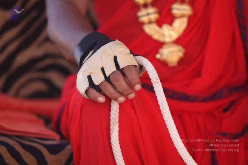 File:20101222 Photo 3412 1260nZ1Y16Q5j0XumNpbZEJ42MlvmITE1.JPG