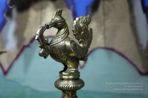 20101222 Photo 3703 1P7ZCE718WWnZ5zen74uIAkxdaigw3zU2.JPG