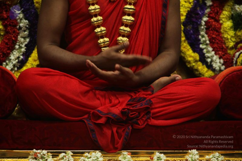 File:20101222 Photo 4379 1pWSBKT3PyHu4Camh0oaHLnZRd8U1dVmp.JPG