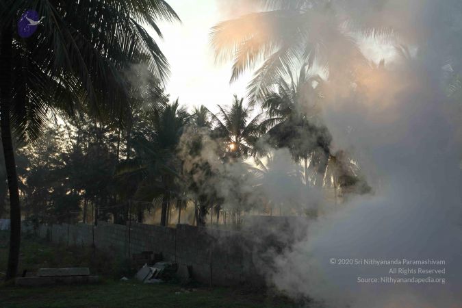 20101223 Photo 1034 1zS9fA9dc9mgtcVjJcZlUk19m8QwbtBBl.JPG