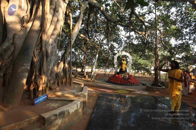 20101223 Photo 1212 1-Xp1-HL3MOCzgZbXHstENZGrG06 KZDL.JPG