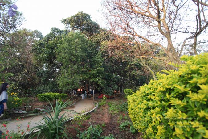 20101226 Photo 1259 1qtXxLHg2ynLDQYU2O759DvBrsqHzpVCp.JPG