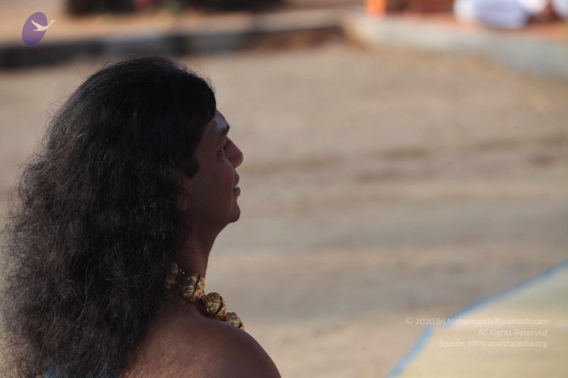 File:20101226 Photo 1569 1VLvrKolL2hTNM7biybhYE4q7NVqqCtrZ.JPG