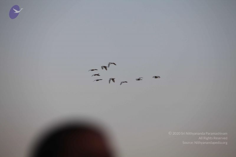 File:20101226 Photo 2603 18rnTYdmhihTAiQ6lU HwJzrY0QjqHfy0.JPG