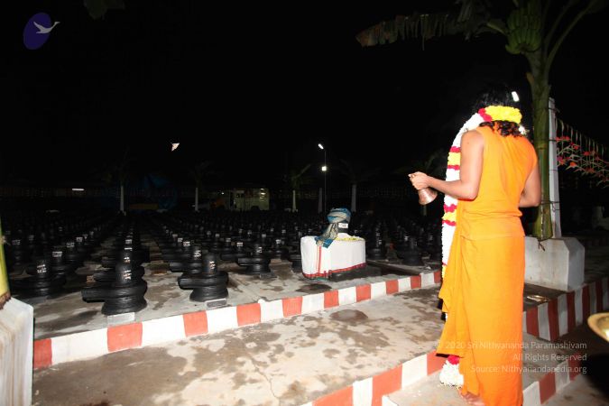 20101229 Photo 1056 1 j6xvsOM dfUMpKeqMJ PjUMrfXFFgGg.JPG