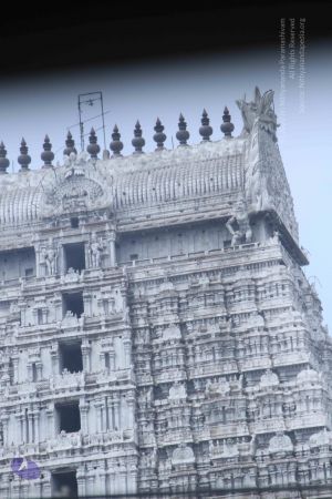 20101229 Photo 1276 12QpJTv9UeBqh4IRRUmycIrpG8j-gzoMJ.JPG