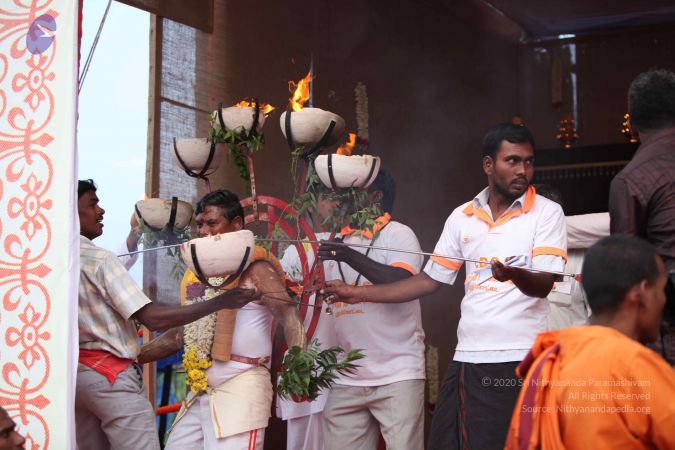 20101229 Photo 2319 1x-in-iXwXdXUY727M0ndCg8GLmS8yMiw.JPG