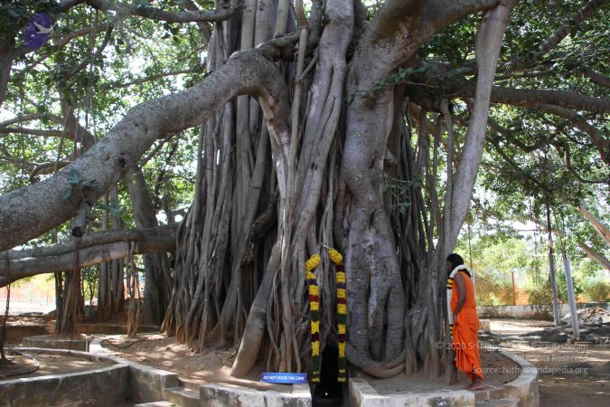 20101229 Photo 3227 11R4TYqY59tVWZ8LOD8qDSgPUzesHQtgH.JPG