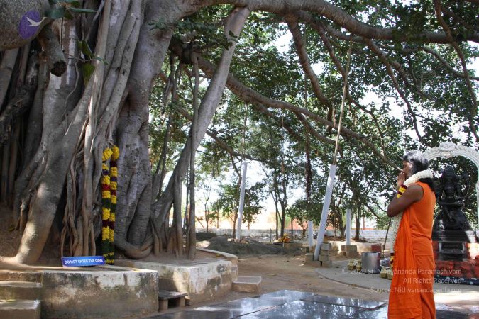 20101229 Photo 3229 1INAKIm6KI1OMrg3Mn9PxVffaqEHMNSHd.JPG