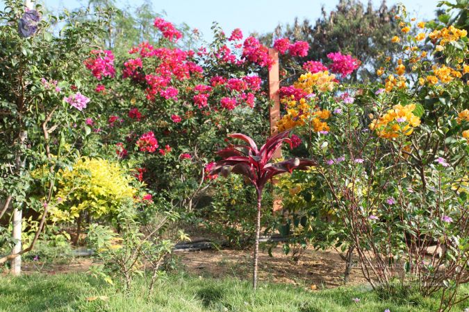 20101231 Photo 1141 1xGcywkpgfoSHZskbkGX1oaPl9BSfO00T.JPG