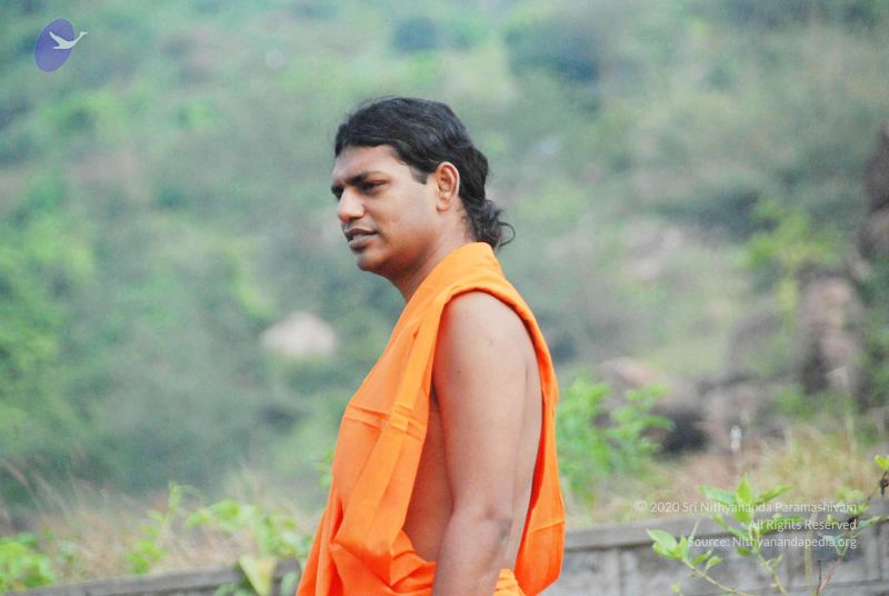 File:2010 PhotoAbum 3327 CMP WM.jpg