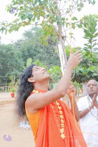 2010 PhotoAbum 5680 CMP WM.jpg